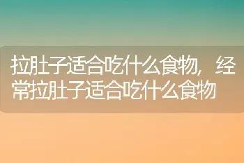 拉肚子适合吃什么食物,经常拉肚子适合吃什么食物