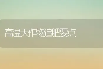 高温天作物追肥要点