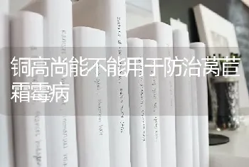 铜高尚能不能用于防治莴苣霜霉病