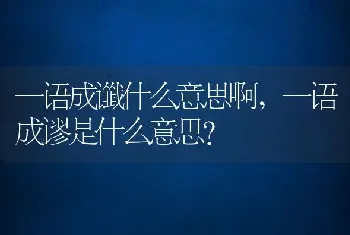 一语成谶什么意思啊