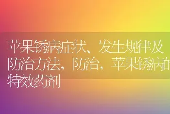 苹果锈病症状、发生规律及防治方法