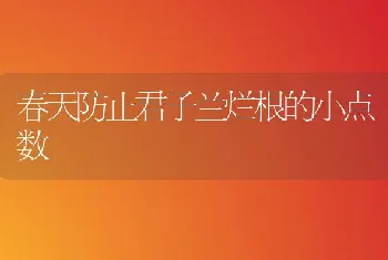 春天防止君子兰烂根的小点数