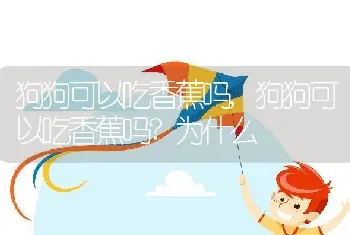 狗狗可以吃香蕉吗,狗狗可以吃香蕉吗?为什么