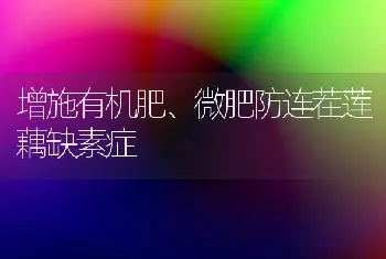 增施有机肥、微肥防连茬莲藕缺素症