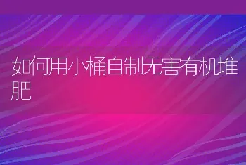 如何用小桶自制无害有机堆肥