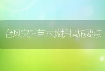 台风灾后苗木救护措施要点