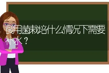 食用菌栽培什么情况下需要补水?