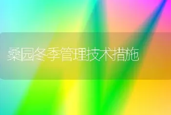 桑园冬季管理技术措施