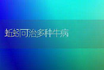 蚯蚓可治多种牛病