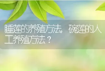 睡莲的养殖方法