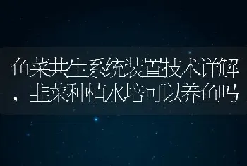 新生牛犊拉稀怎么回事