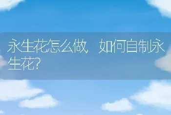 永生花怎么做