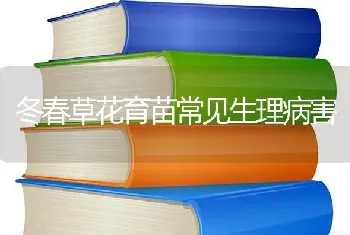 冬春草花育苗常见生理病害