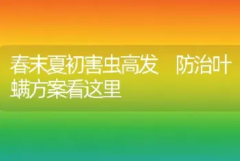 春末夏初害虫高发 防治叶螨方案看这里