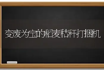 变废为宝的稻麦秸秆打捆机