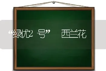 “绿优2号” 西兰花