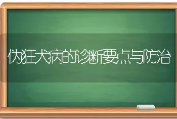 伪狂犬病的诊断要点与防治