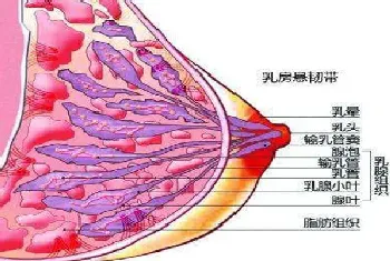 乳腺增生有什么症状