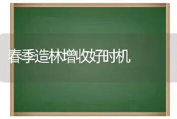 春季造林增收好时机