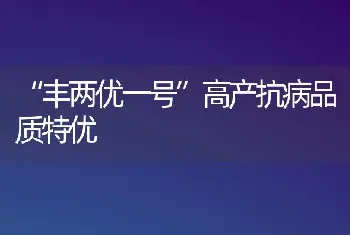 “丰两优一号”高产抗病品质特优