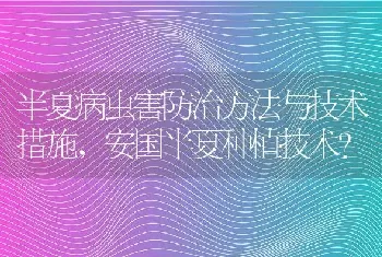 半夏病虫害防治方法与技术措施