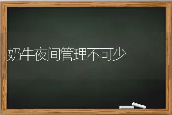 奶牛夜间管理不可少