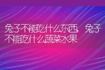 乌龟冬眠和死了区别