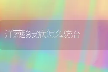 洋葱酸皮病怎么防治