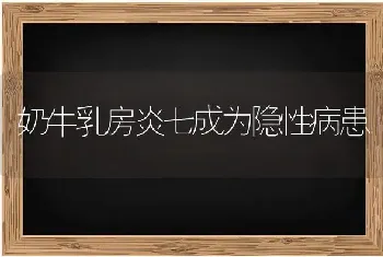 奶牛乳房炎七成为隐性病患