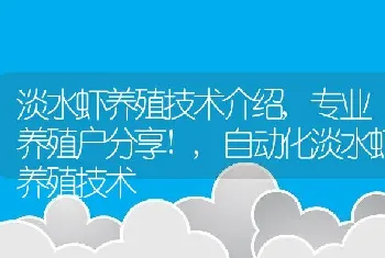 淡水虾养殖技术介绍,专业养殖户分享!