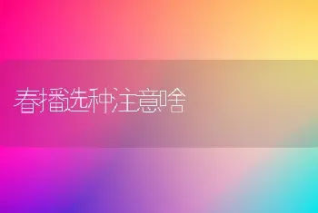 春播选种注意啥