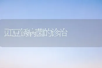 豇豆锈病菌的诊治