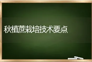 秋植蔗栽培技术要点