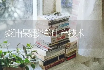 桑叶保健茶的生产技术