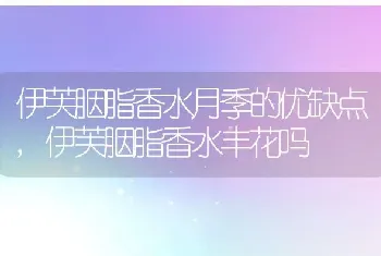 伊芙胭脂香水月季的优缺点