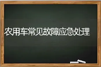 农用车常见故障应急处理