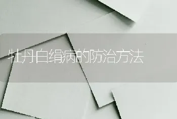 牡丹白绢病的防治方法