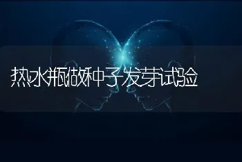 热水瓶做种子发芽试验