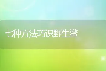 七种方法巧识野生鳖