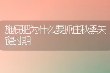 施底肥为什么要抓住秋季关键时期