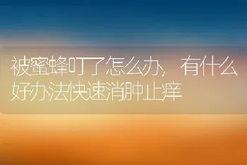 被蜜蜂叮了怎么办