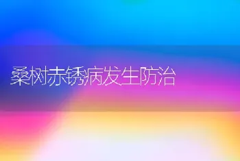 桑树赤锈病发生防治