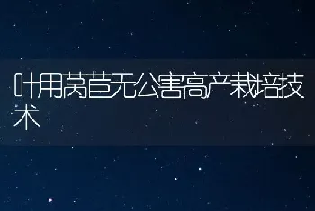 叶用莴苣无公害高产栽培技术