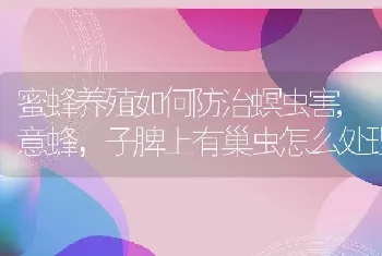 蜜蜂养殖如何防治螟虫害