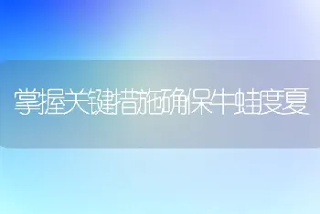 掌握关键措施确保牛蛙度夏