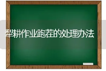 犁耕作业跑茬的处理办法