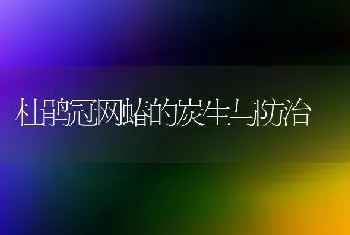 杜鹃冠网蝽的炭生与防治