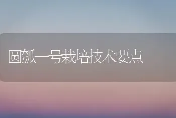 圆瓠一号栽培技术要点