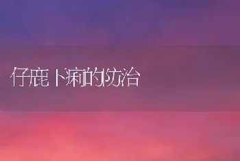 仔鹿下痢的防治