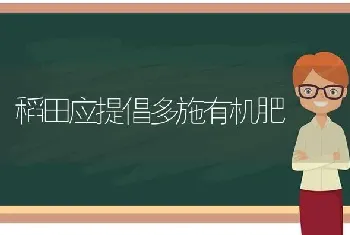 稻田应提倡多施有机肥